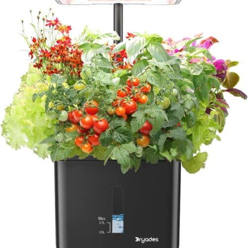 self watering pots, Indoor gardening