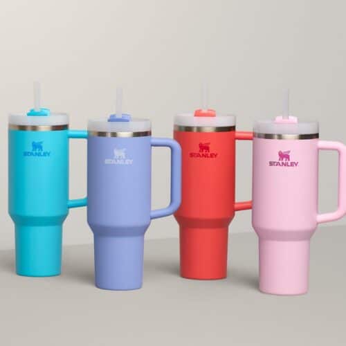 Stanley Quencher 30 oz